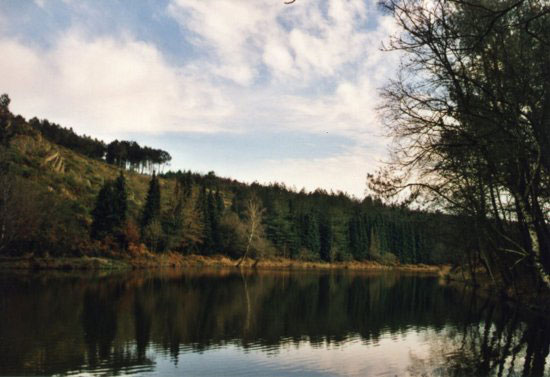 Le Vallon de la Chambre au Loup